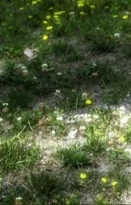 Fakenut | Thư Giản