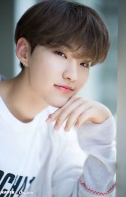 [ FANFICTION ] [ HOSHI - SEVENTEEN ] Anh có thể yêu anti-fan được không?