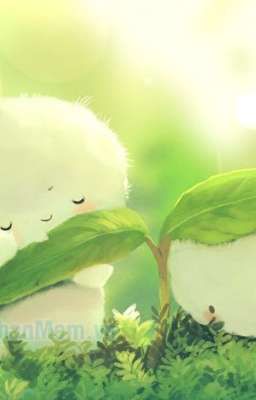 [FANTASY/HỌC ĐƯỜNG] ROYAN - Hành Trình Trưởng Thành Của Vị Thần Tối Cao