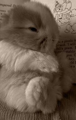 [Faran] Hiểu lầm