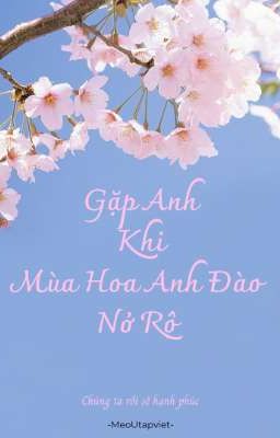 Gặp Anh Khi Mùa Hoa Anh Đào Nở Rộ
