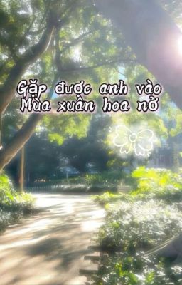 GẶP ĐƯỢC ANH VÀO MÙA XUÂN HOA NỞ