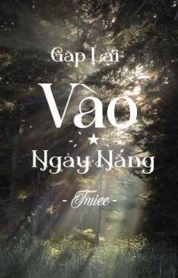 Gặp Lại Vào Ngày Nắng 