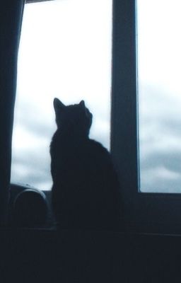 GEONXIN | ánh mắt