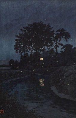 Gió đêm  ̄ taekook