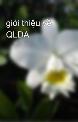 giới thiệu về QLDA