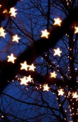 góc nhỏ của star <(￣︶￣)>