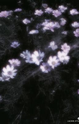 || gongfourz • kí ức ||