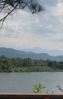 Gửi nắng về mùa hạ