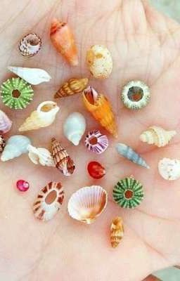 gửi người con trai tôi từng thương