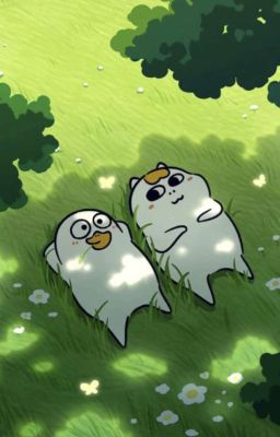 guon ۶ৎ chít chít meo meo