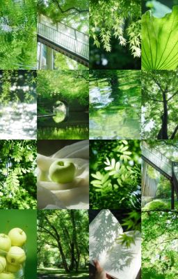 [GURIA] CẨM TÚ CẦU