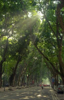 Hà Nội, em và tôi