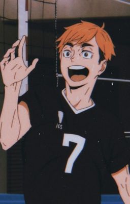 [Haikyuu] Cáo vàng