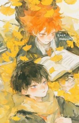 |Haikyuu| KageHina