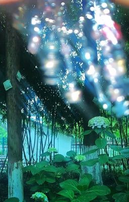 hanrae/park jihoo | nhà dột