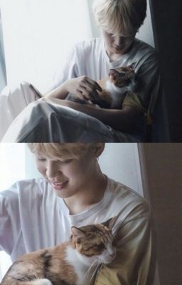 HẠT DẺ KHÔNG THỂ SỐNG THIẾU EM | PARK JIMIN |