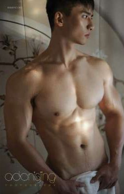 Hệ Thống Chịch Trai