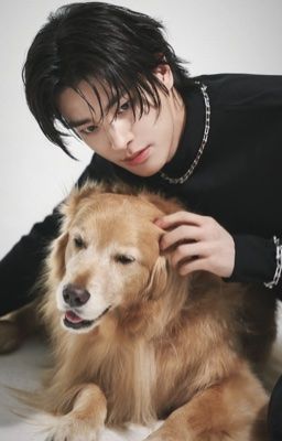 ❝  heejake - ramyeonz  ❞   𓈒  ꣑ৎ ݁   ׄ  pls fck me !