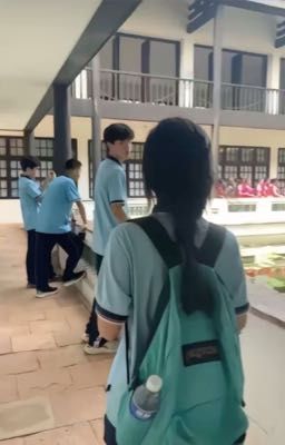 Hẹn cậu vào ngày nắng mai