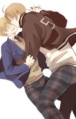 [Hetalia] Idiots - USUK Fanfic