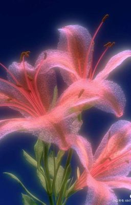 hieukng | nốt ruồi