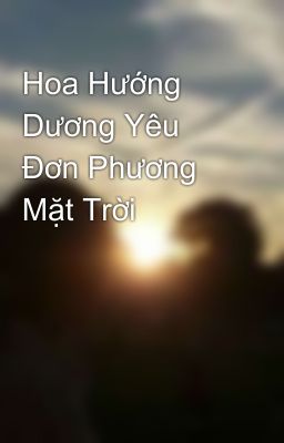 Hoa Hướng Dương Yêu Đơn Phương Mặt Trời