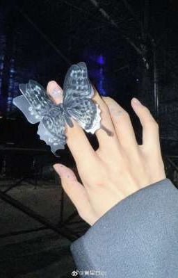 Hoa Thịnh - Ánh sáng đêm Thu