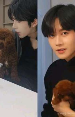 [Hoa Thịnh] Không Còn Cách