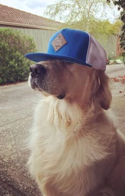 [HoangKhang] Lấy Đi Cả Thế Giới.