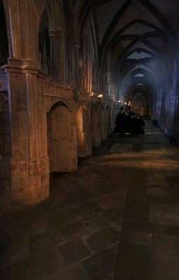 ꒰Hogwarts Boy x Reader꒱