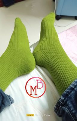 Huấn luyện chó nghiệp vụ