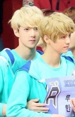 [HunHan][shortfic][Edit]Cây cổ thụ lạnh lùng