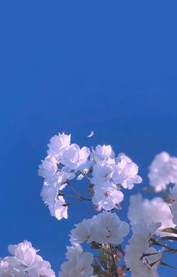 huy hoàng | đôi mình