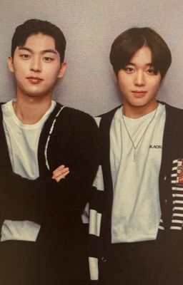 Hyunwook x Jihoon || Tưởng gà hoá thóc