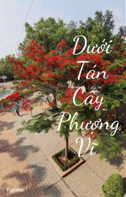 [IcyGill] Dưới Tán Cây Phượng Vĩ