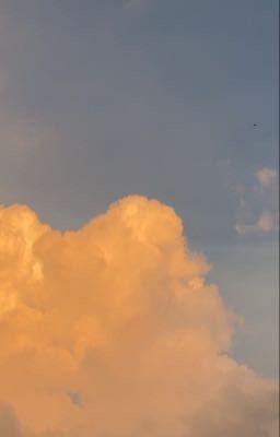 [Identity V] [Edit] Chín quyển nhật ký