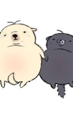 illusion of love // Onran