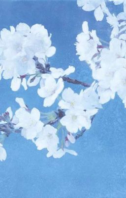 jamesho; chuyển ngữ | từ trong mắt anh