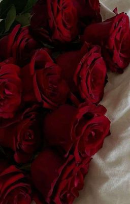 |JeongLee| Hey rose