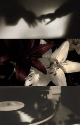 [JeongLee] Ngón Áp Út