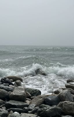 JeyNam | Mùi Biển.