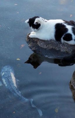 JJK x Reader | ๐๐๐ ๐ผ ๐ฒ๐ถ๐๐