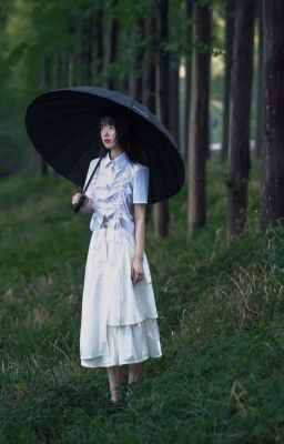 《 jl 》: Paraside - Kooklice