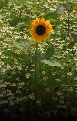 JoongDunk || Vẫn Đợi.