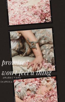 KAGEINU || Transfic || promise I won't feel a thing