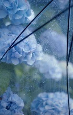 [KaiIs] Xin Đừng Gặp Nhau