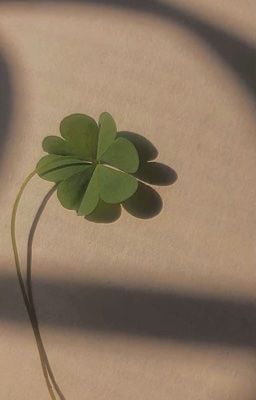 [Kaiisa] Phước lành và may mắn