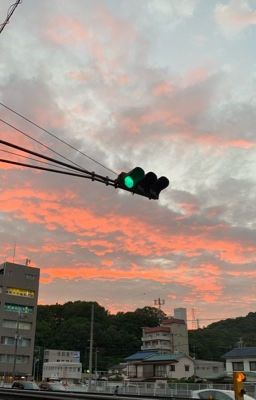 [KBIN] Anh Đào Trăm Cánh và Tử Đằng Tím