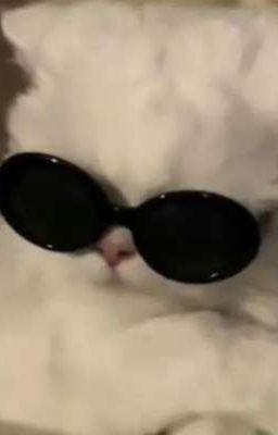 Kẹo dừa dính răng